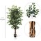 6' Silk Ficus Tree - 1528 UV Resistant Lifelike Leaves, Realistic Artificial Plant for Indoor & Outdoor Home, Office & Event Decor, Floral Home by Artificial Flowers